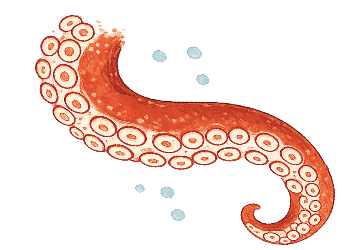蛸のイラスト
